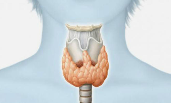 Щитовидка в горле