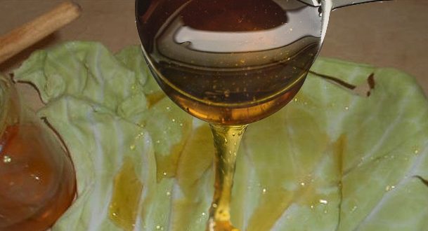 капустный лист с медом