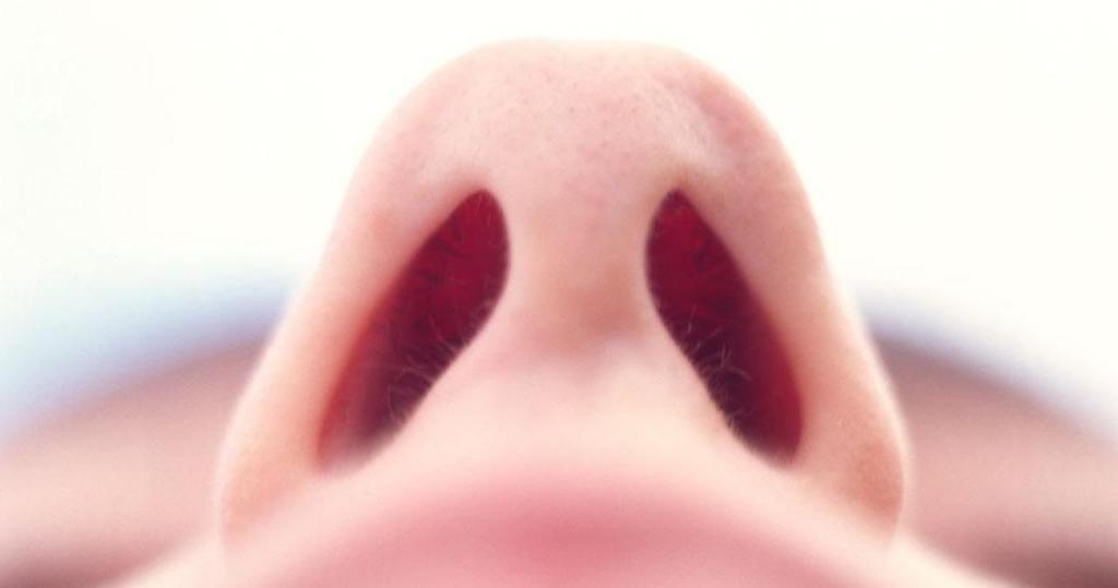Народные метод лечения полипов в носу